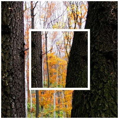 METALL Zeit - der Herbst