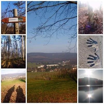 Sonnenscheinausflug - Laab im Wald