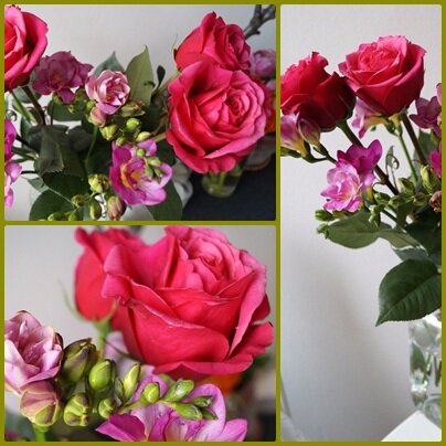 Tulpenbunt oder Zauberrosen