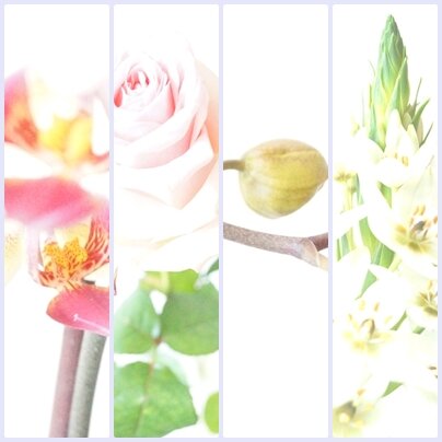 Blumenliebe