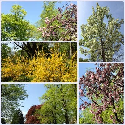 Naturtanken