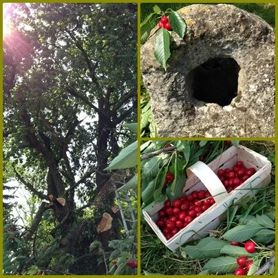 Rund und gesund