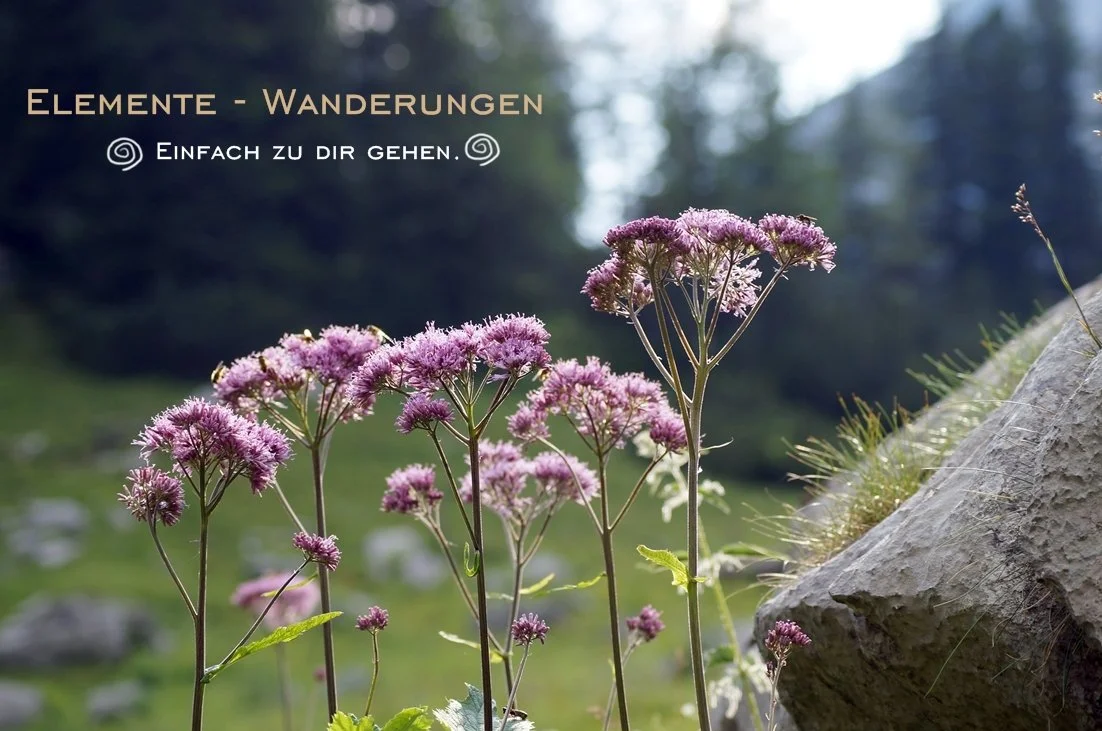 Komm, lass uns gehen.