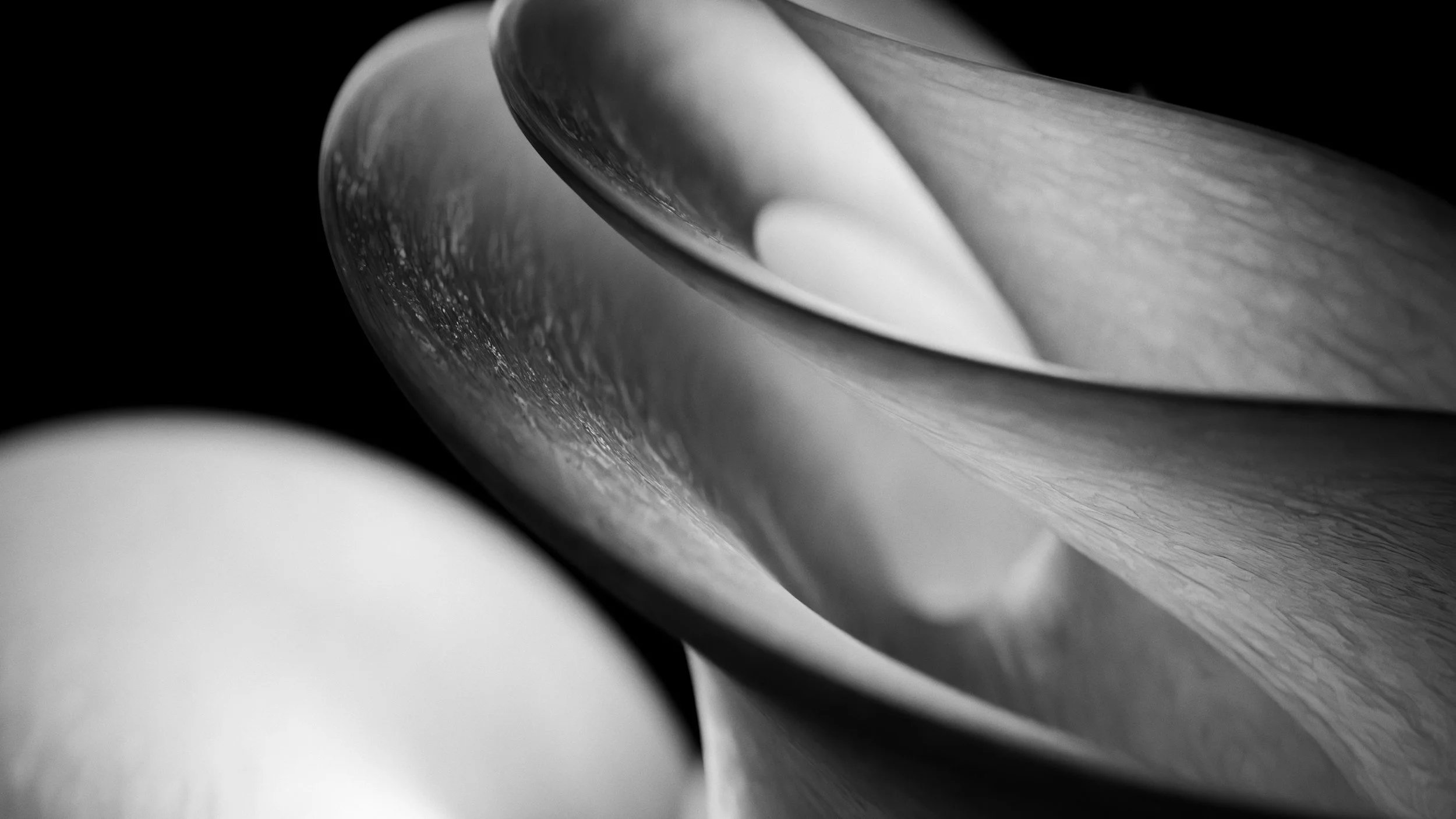 unsplash-image-pUm7MDcyivg.jpg