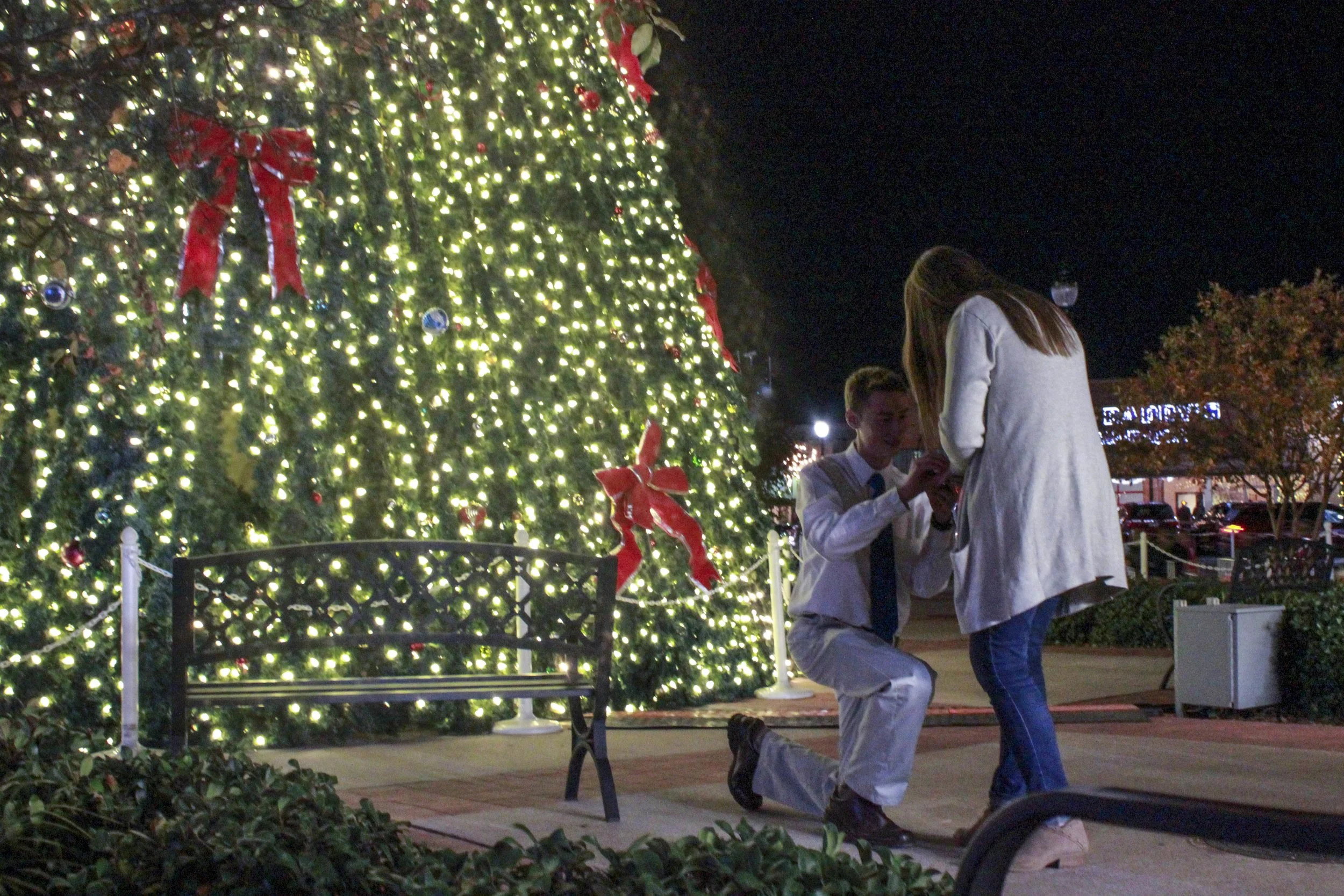 My Christmas Proposal
