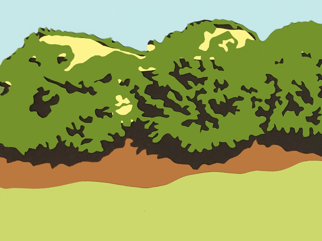 Michael Hambouz_Nudist 2077_2020_detail1.jpg