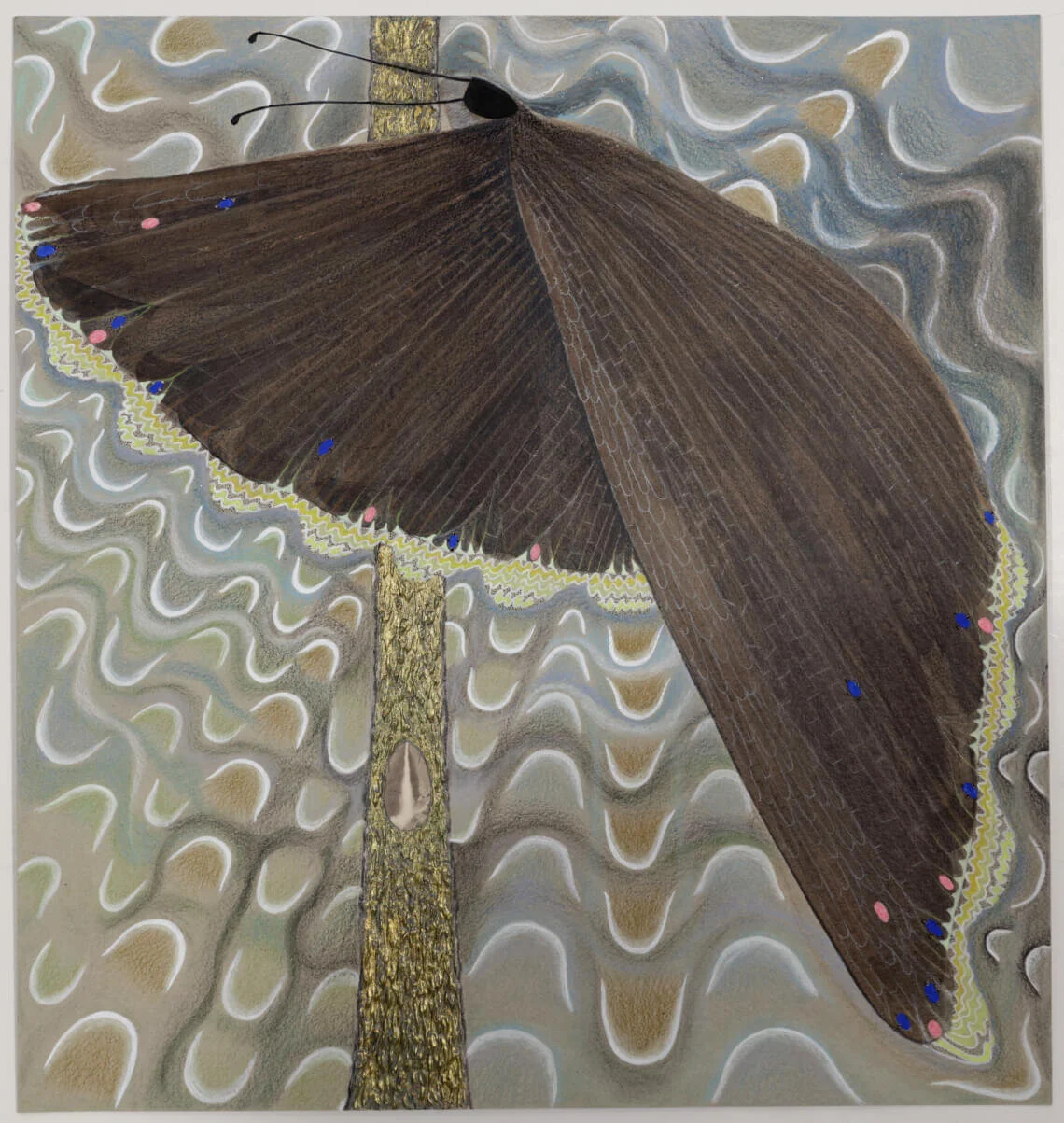 Marcy Hermansader, Mourning Cloak