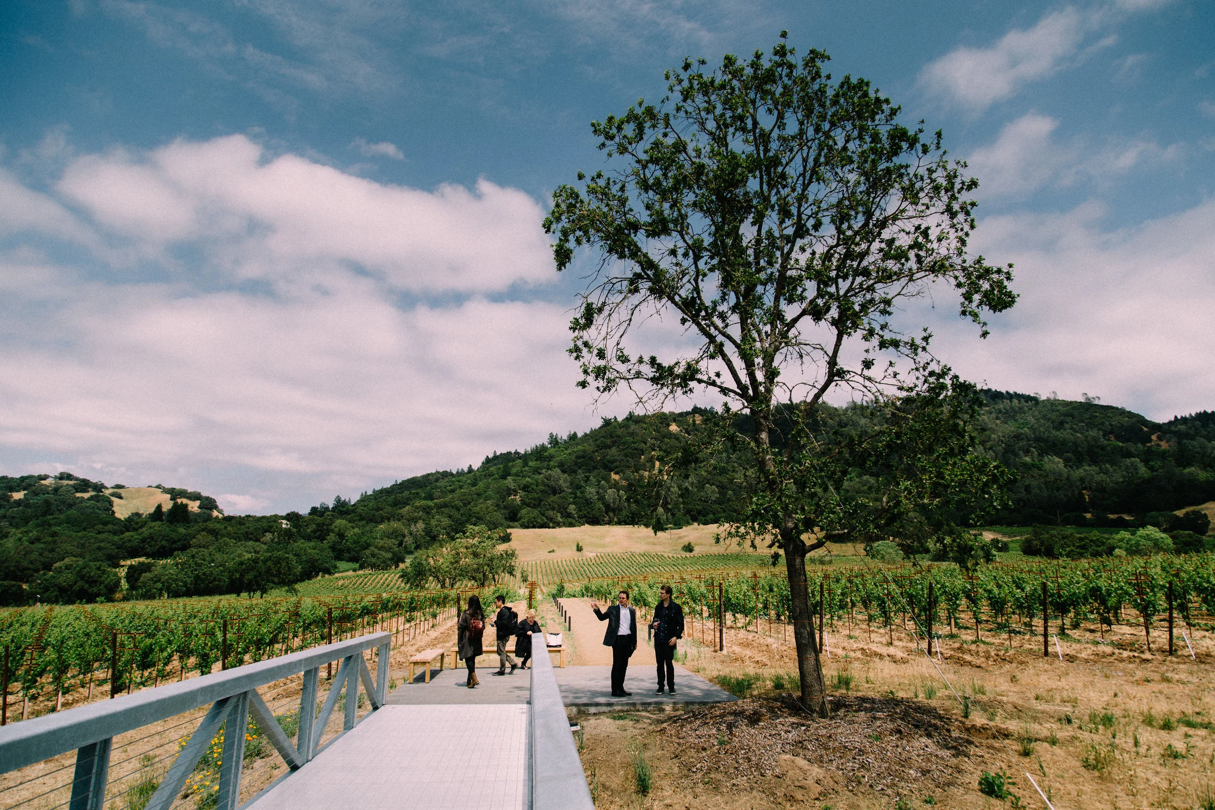 MFLA_SilverOak-31.jpg
