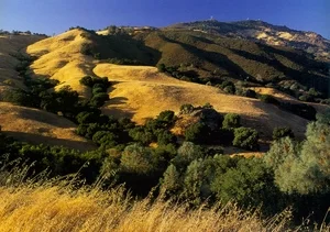landscape.jpg