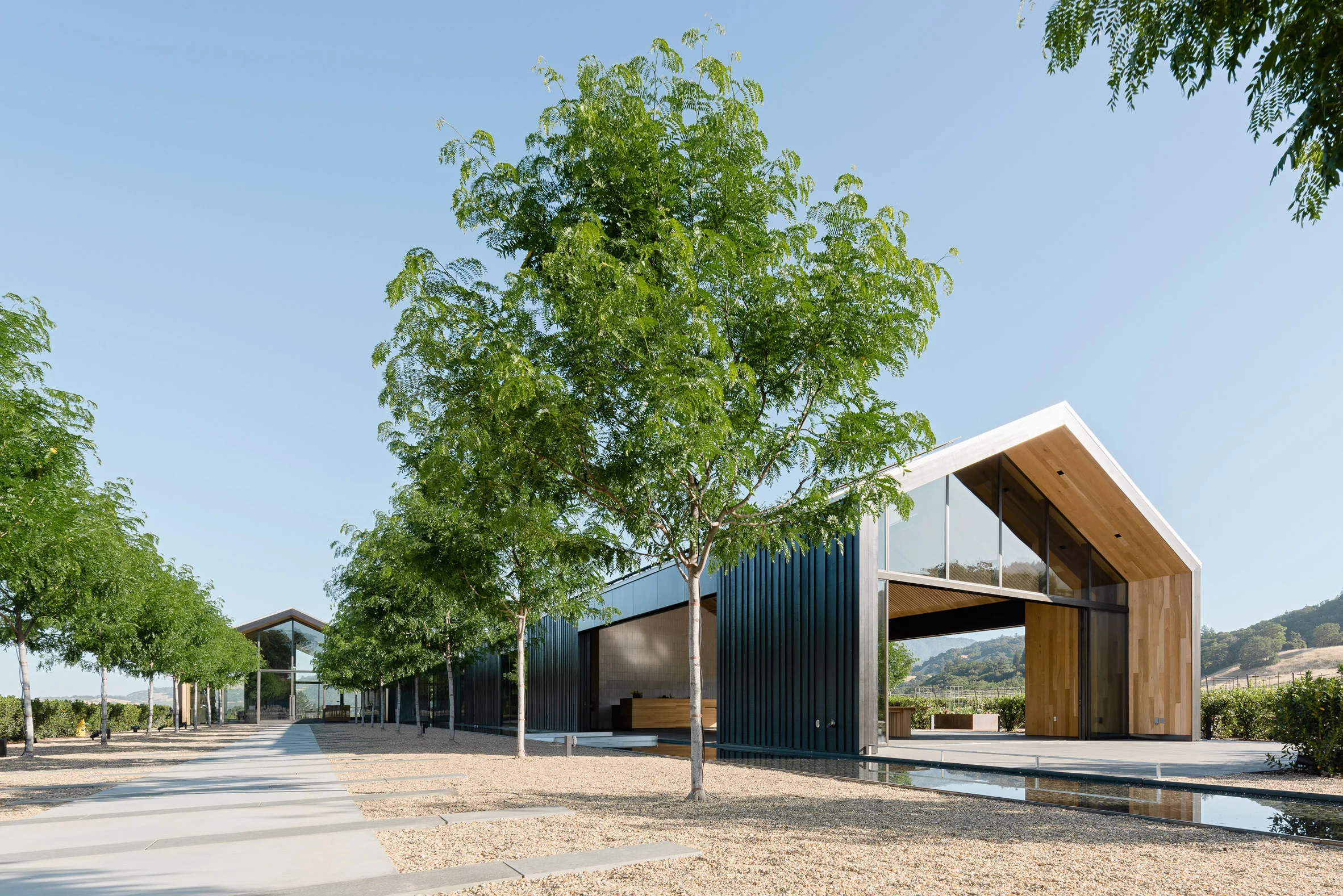 2019 02 Silver Oak Dezeen.jpg