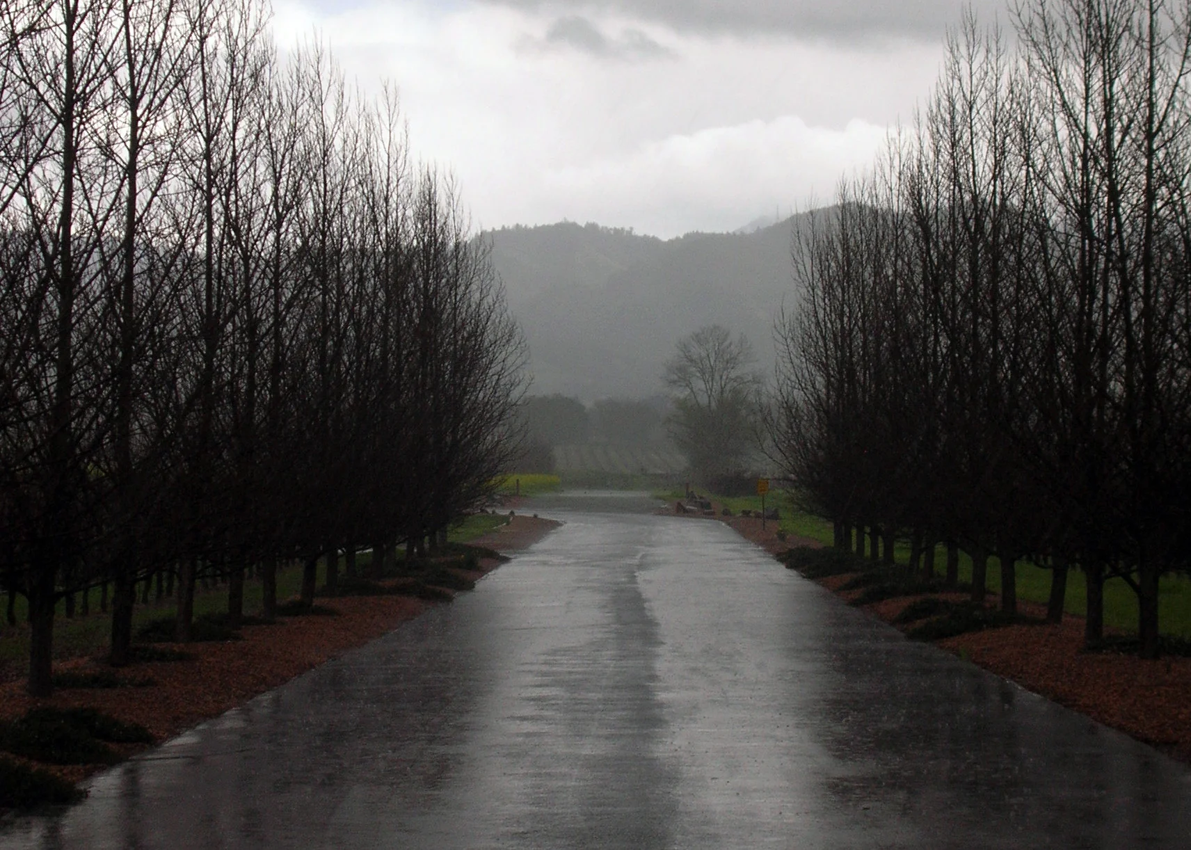 DSCN3999-edit.jpg