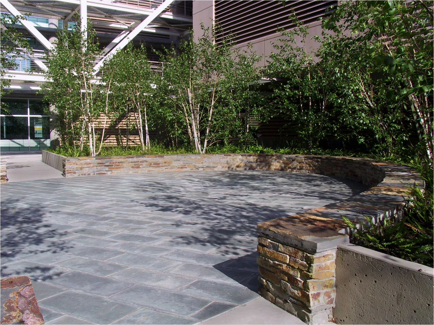 350RI_image02.jpg