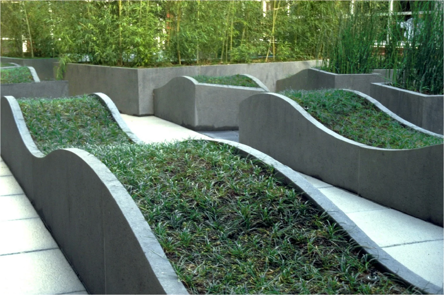 Brannan_image09.jpg