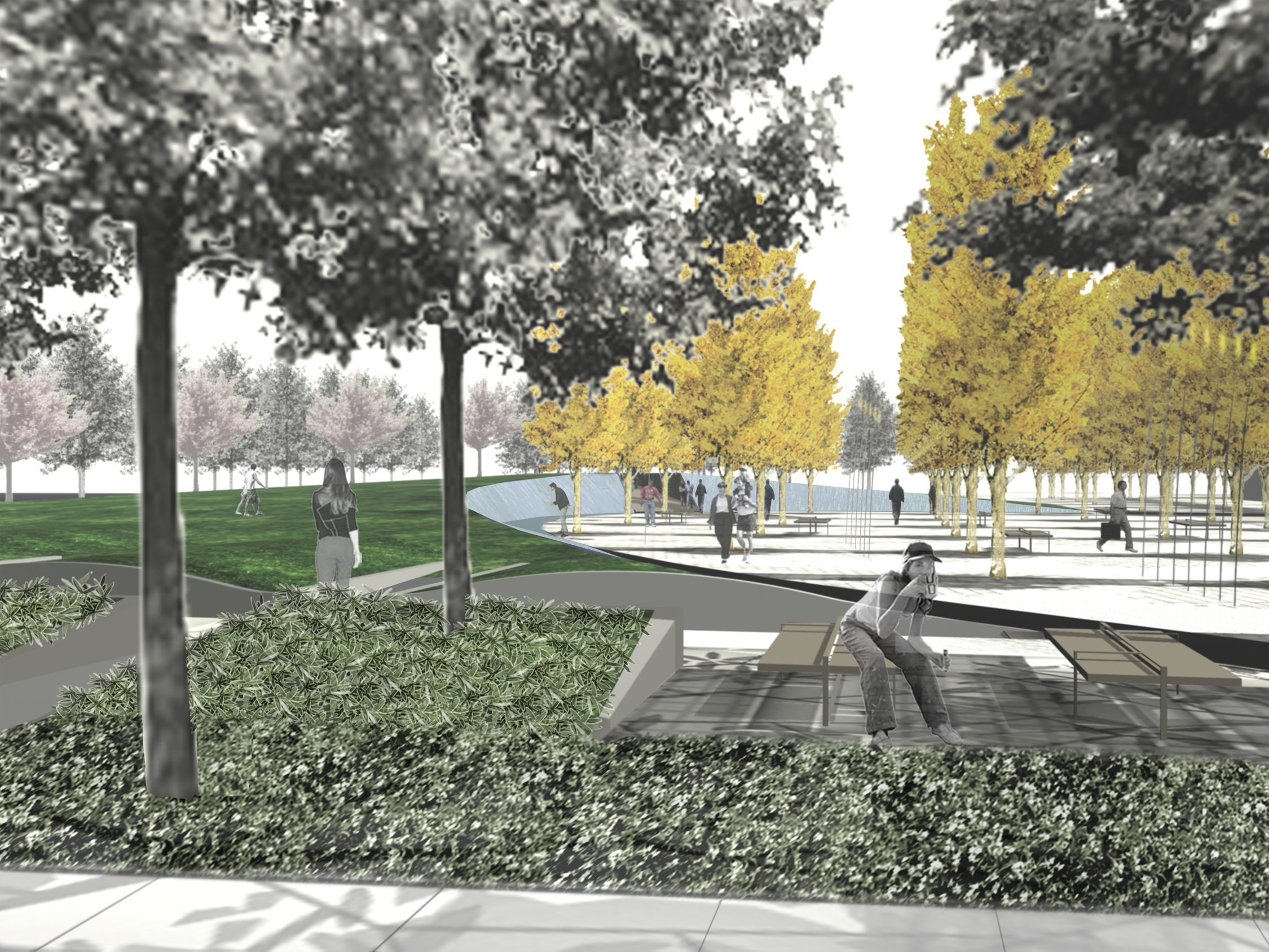 Street and Plaza copy.jpg