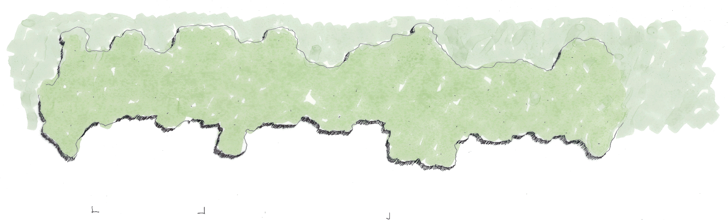 hedge screen.gif