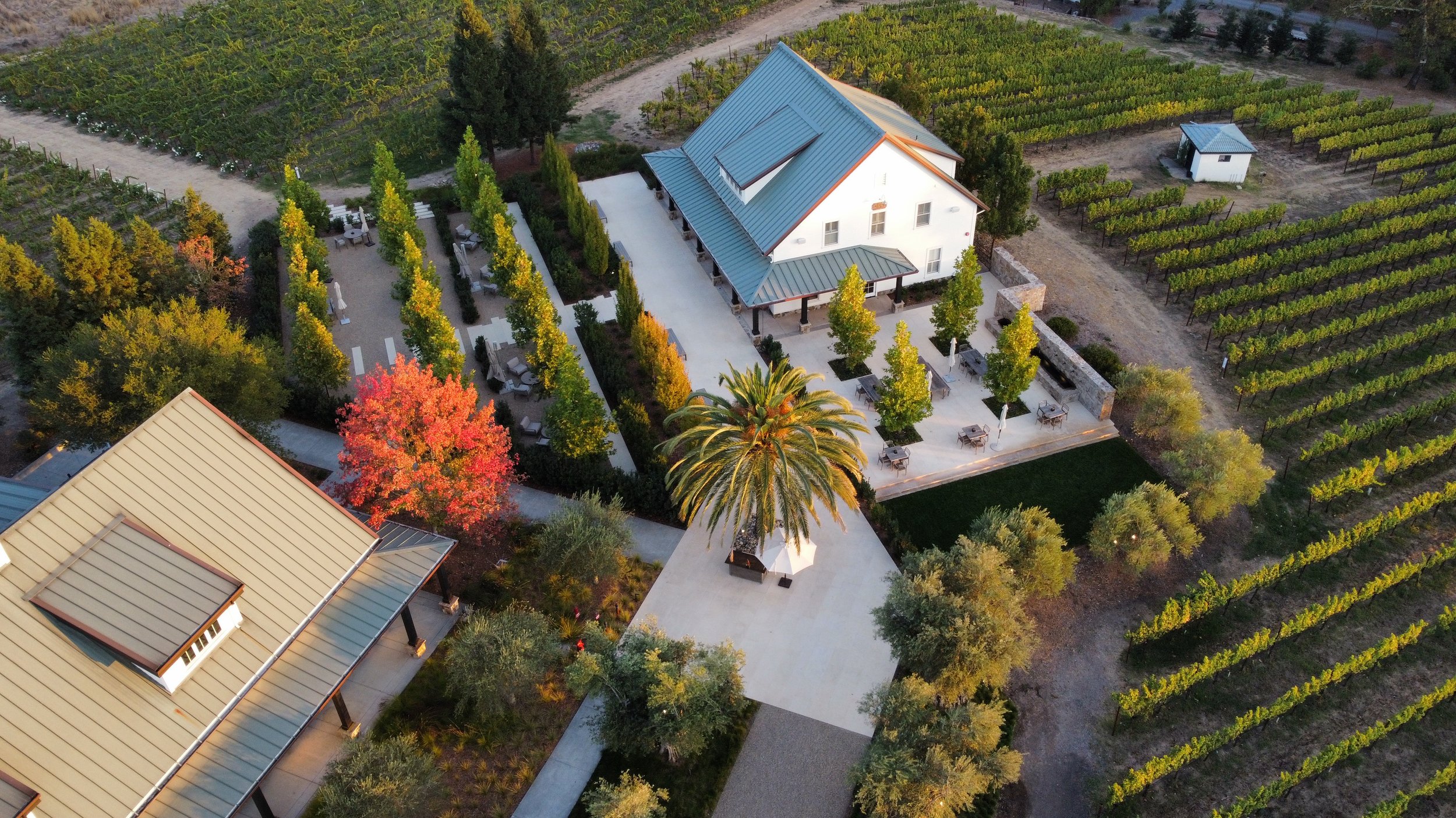 MERRIAM VINEYARDS