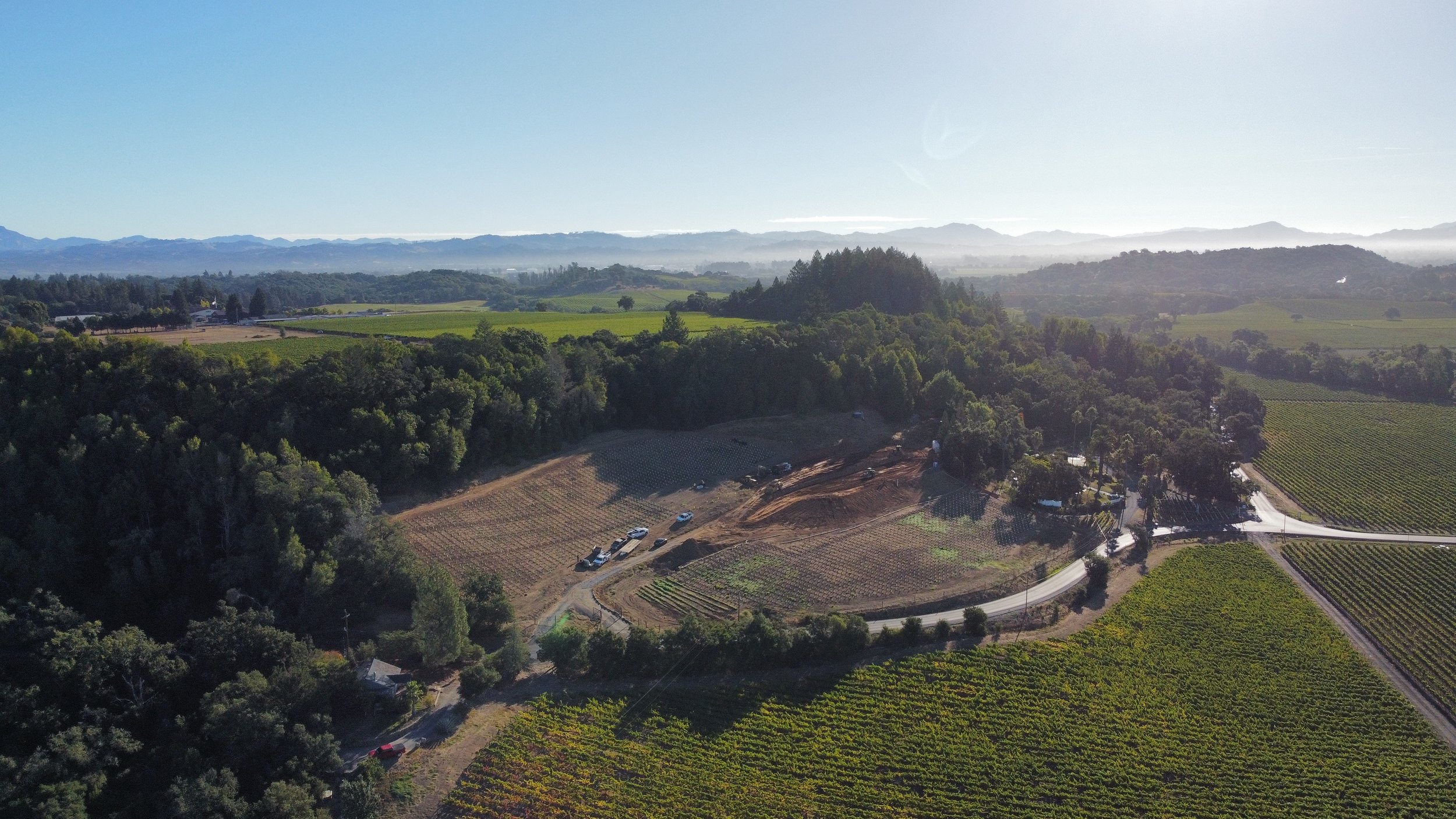 AUTEUR WINERY