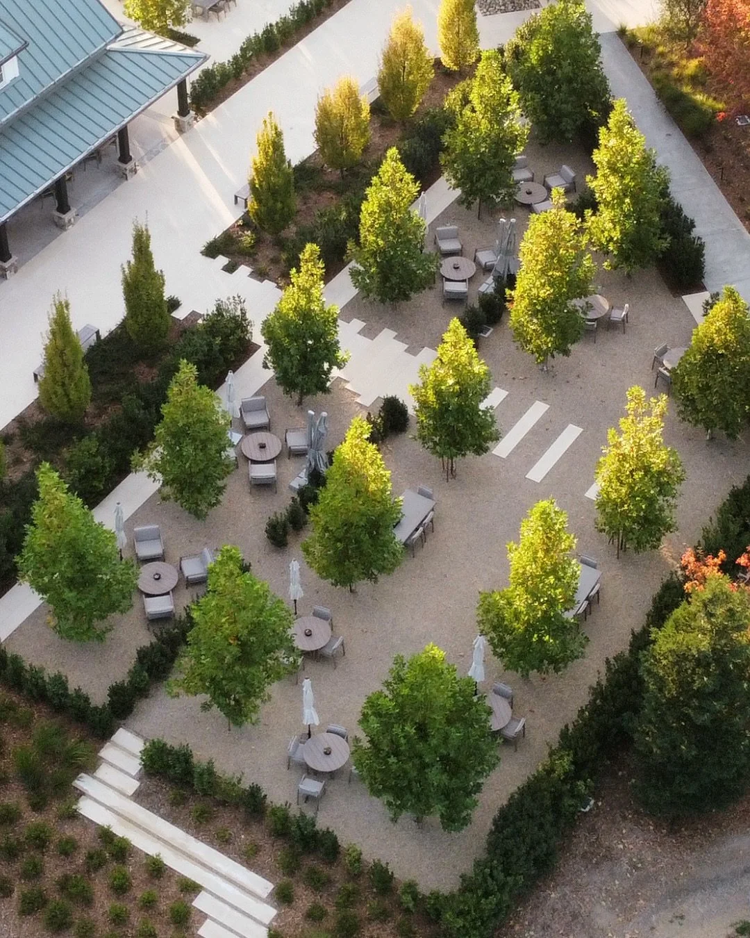 Merriam Vineyards new outdoor Garden Rooms are defined by Bay Laurel hedges. This planting provides a consistent horticultural language of &lsquo;green walls&rsquo;, defining the guest environments as one moves from room to room.

Bosques of Plane tr