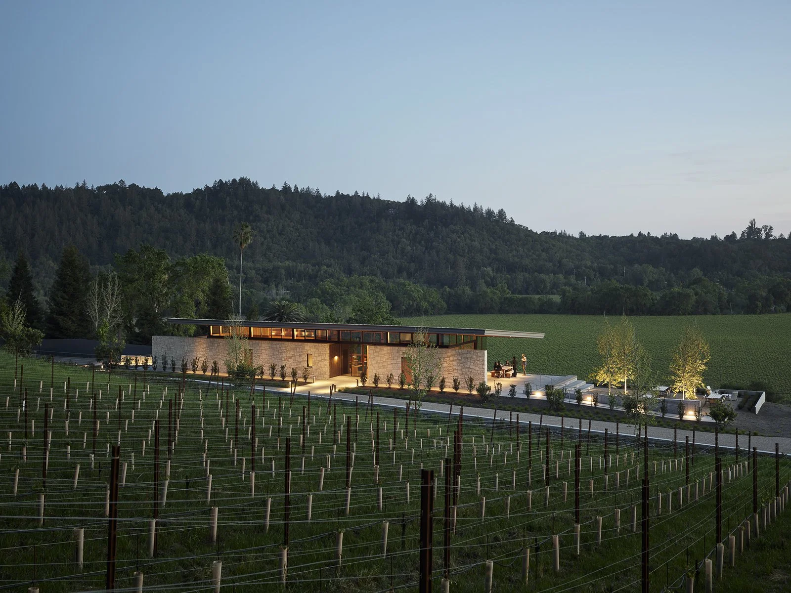 AUTEUR WINERY