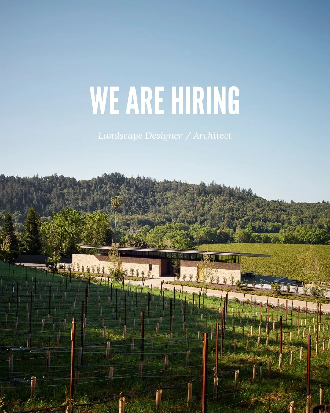 MFLA are expanding our design team with a Landscape Designer/Architect role at either our San Francisco or Healdsburg, CA studios.

Join a highly creative, busy and tight knit team made up of a dedicated group of designers working on a wide range of 