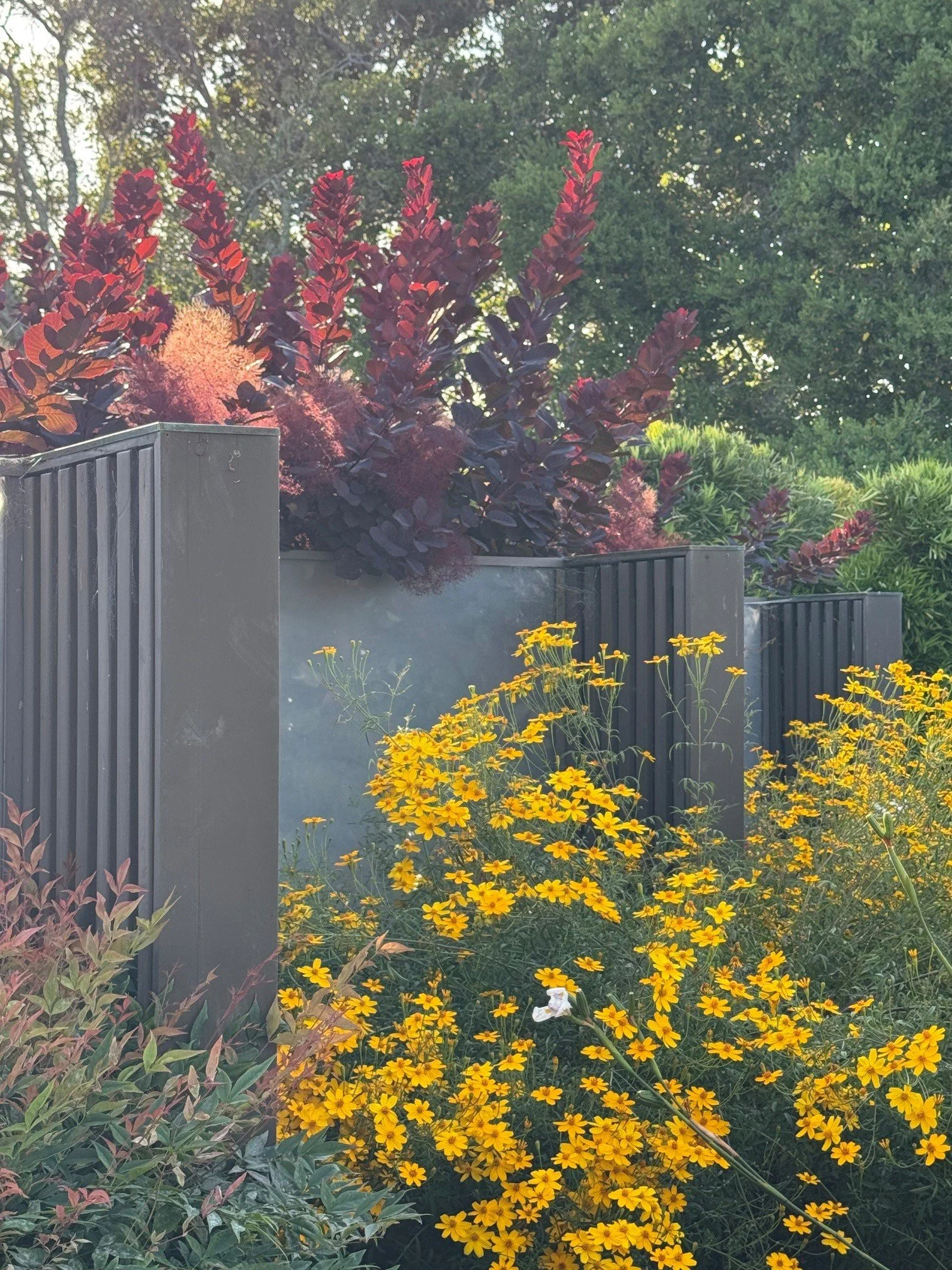 planting palette and wall details