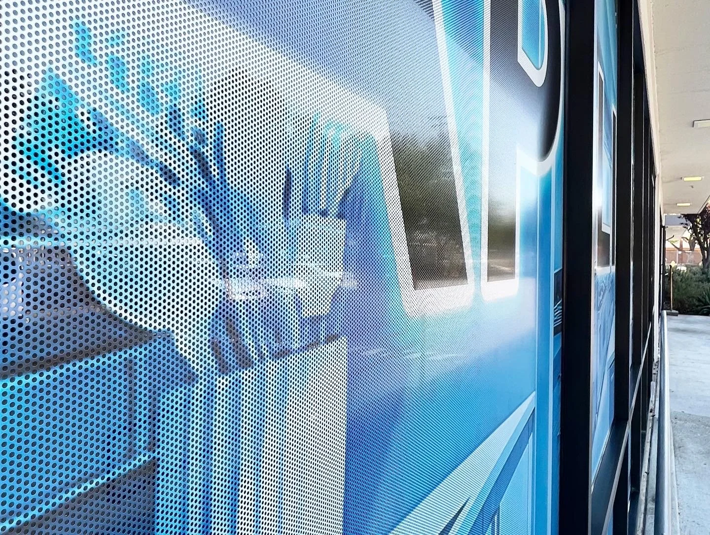 Close Up.jpg
