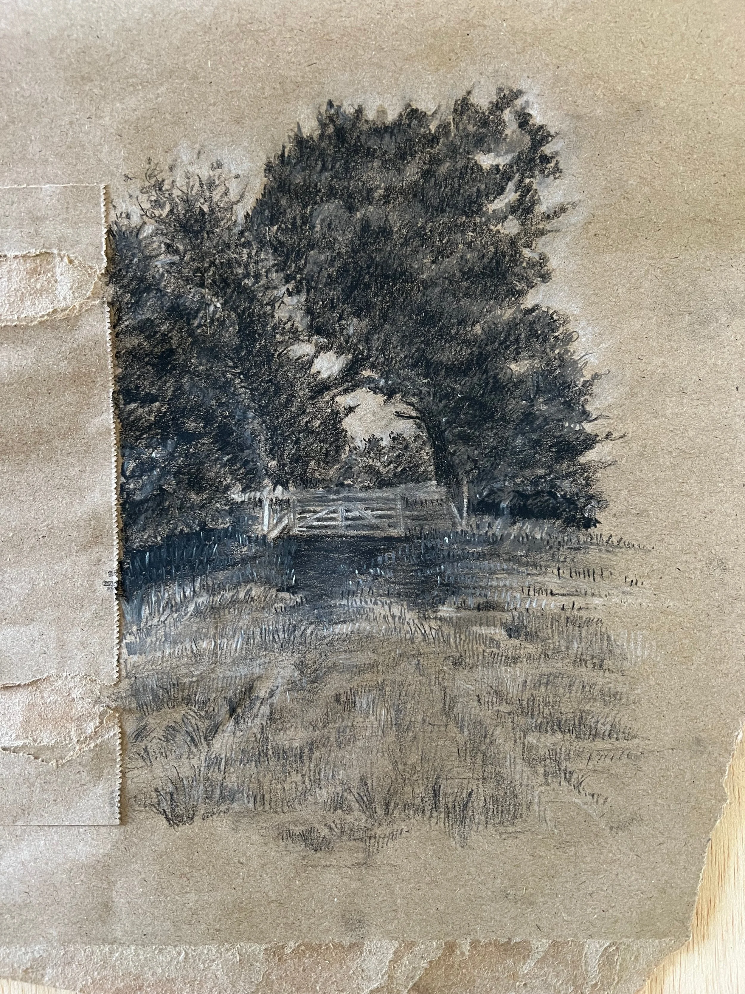 Paper bag drawing #2