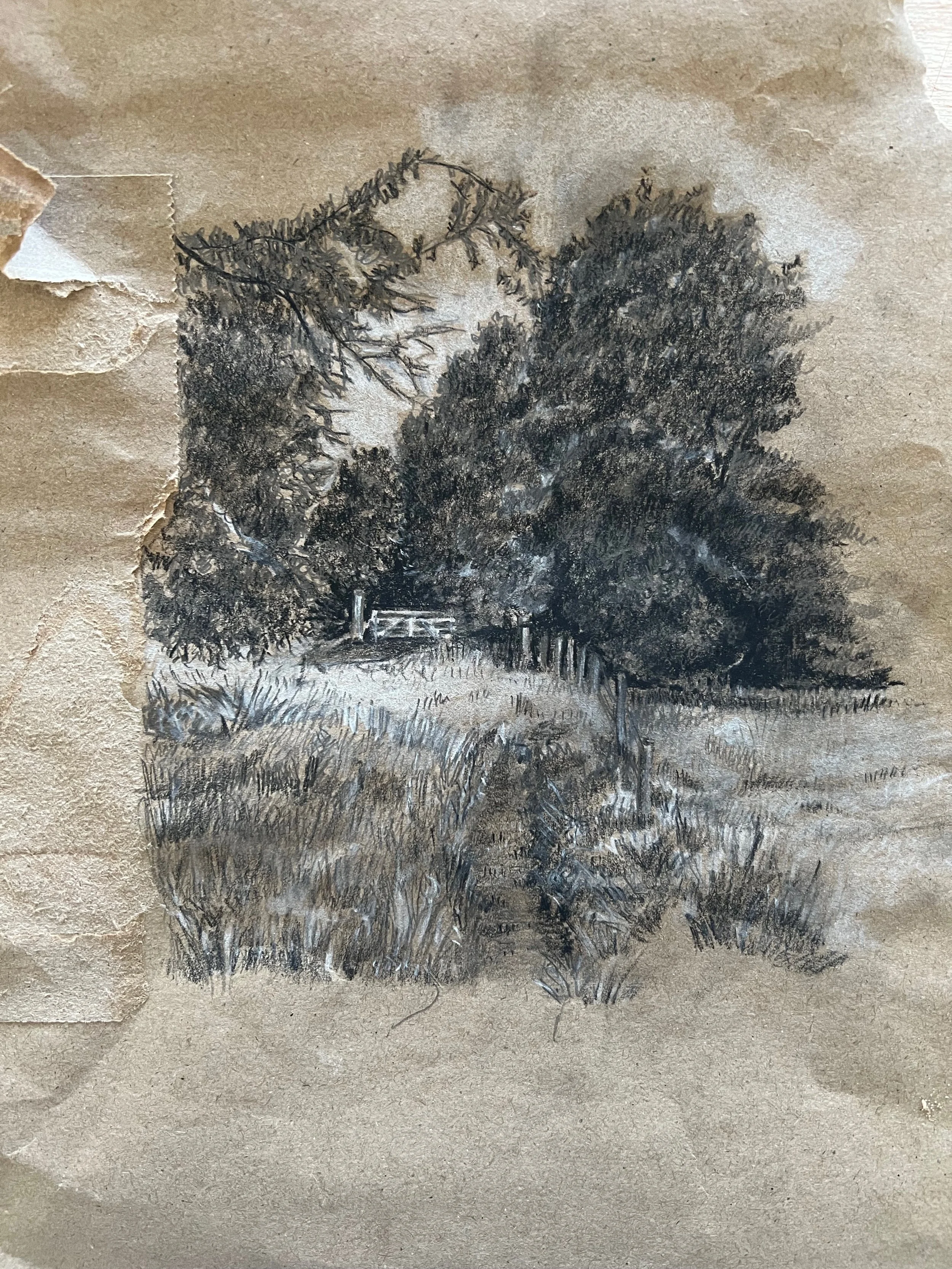 Paper bag drawing #4