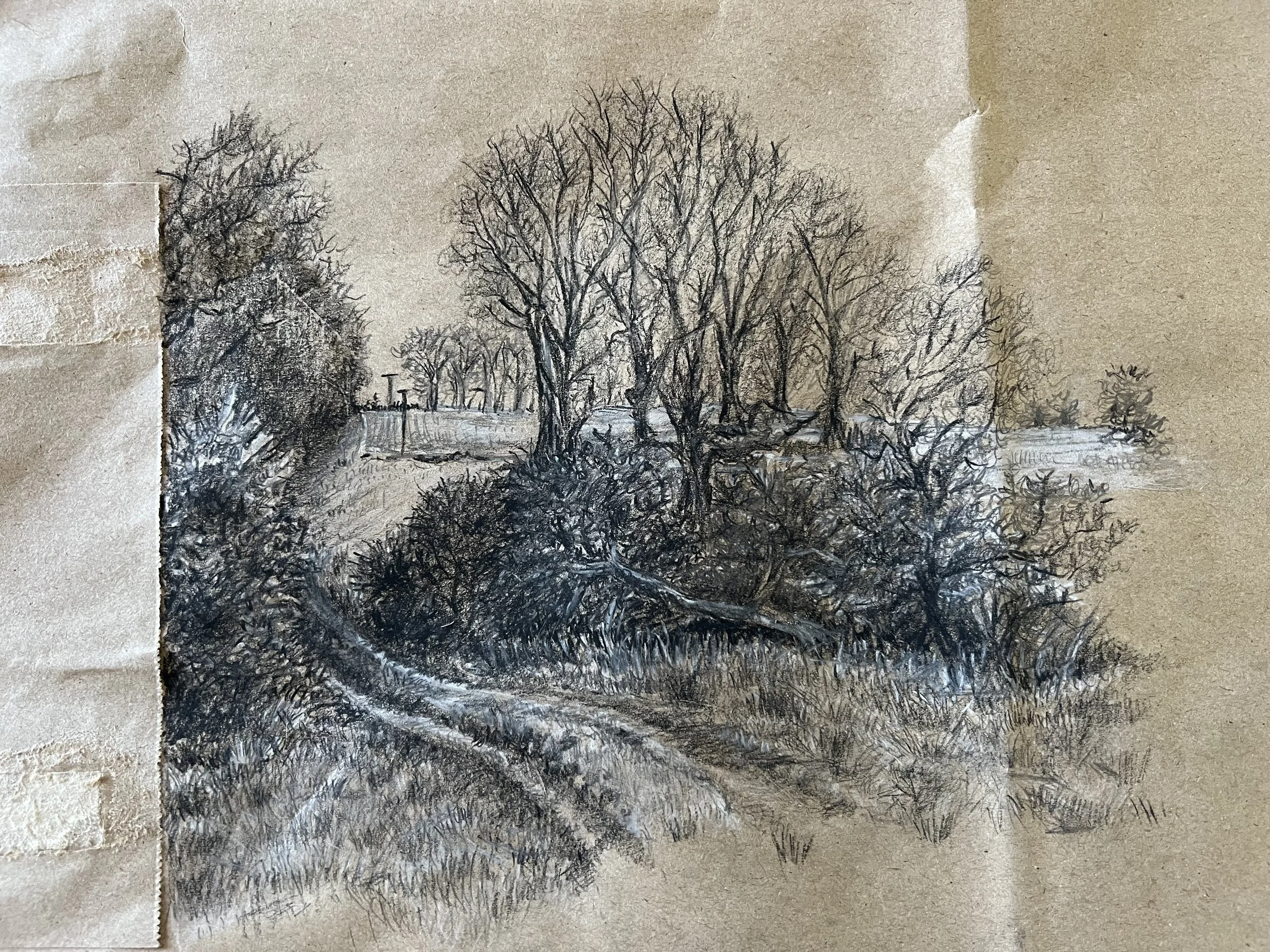 Paper bag drawing #5