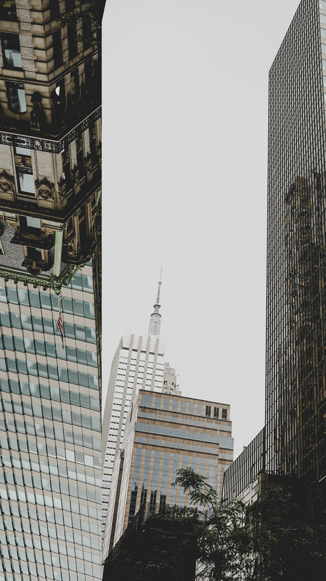 Untitled_Artwork 49.PNG