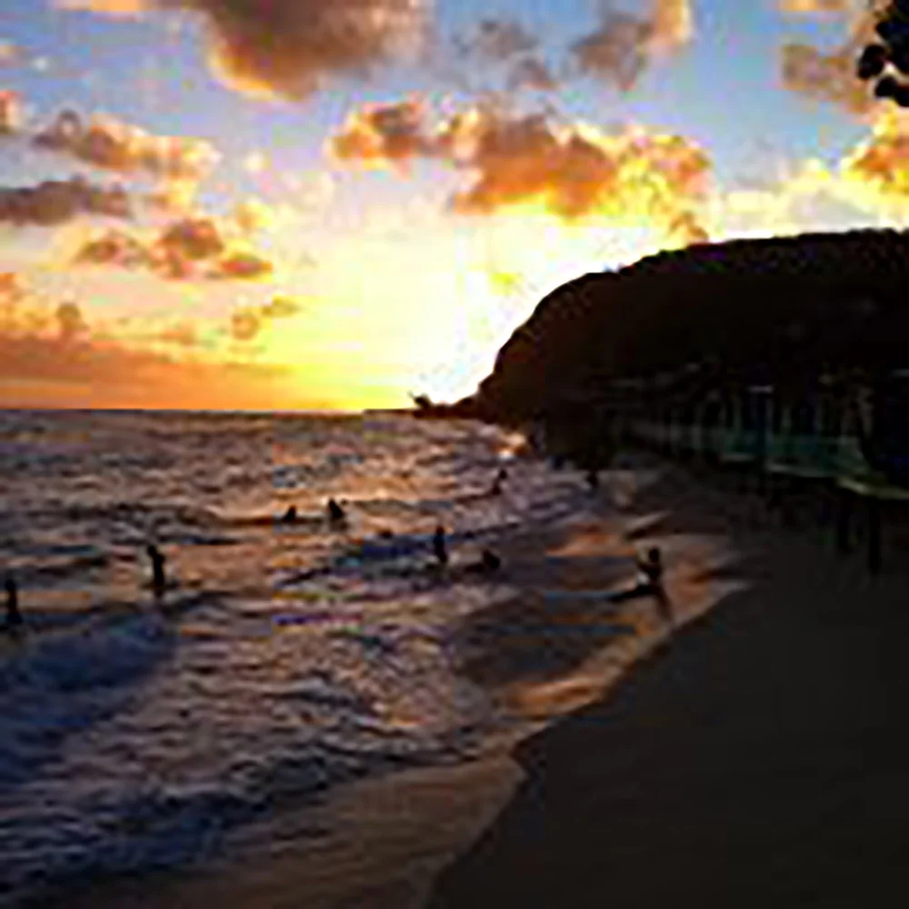 Elsa &amp; Luke Skywalker: 10 Reasons Why They Should Date