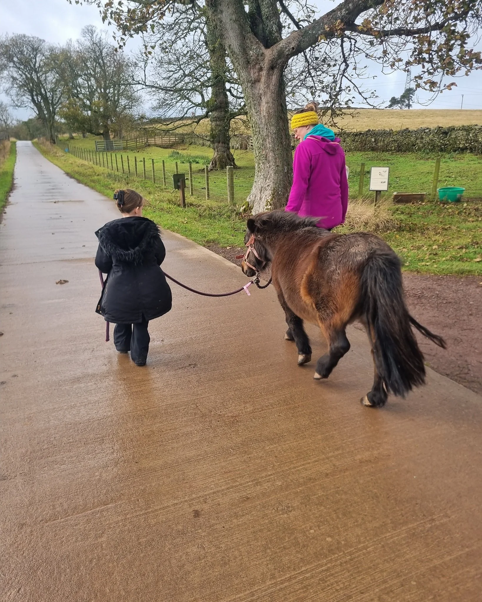 A Much-Needed Break in Scotland

It's been a tough couple of months. My youngest daughter has been out of school, and honestly, we were all feeling the weight of it. We needed a change of scenery - somewhere we could just breathe.

We found the most 