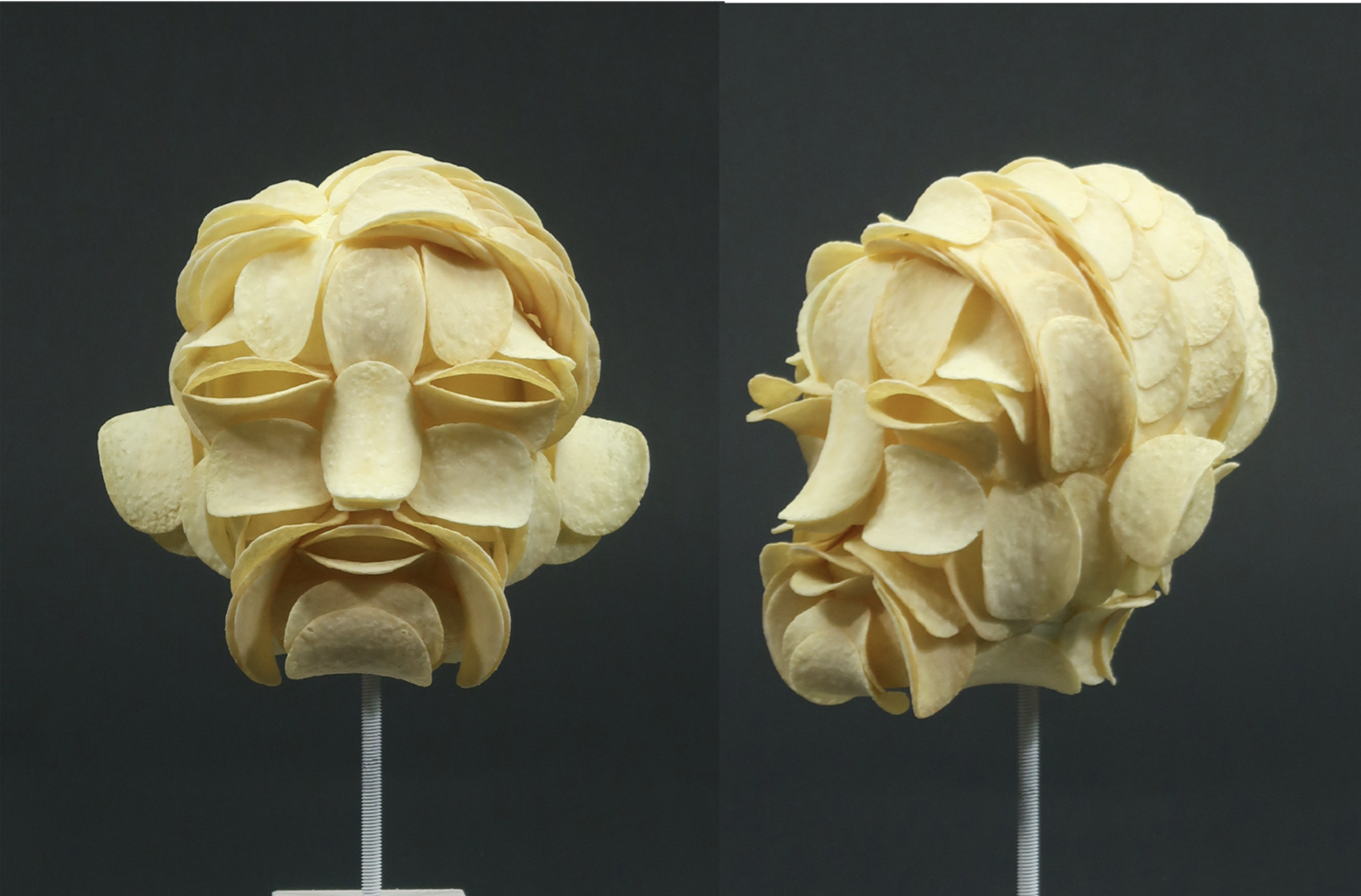 FINISHED HEAD, ALL CRISPS