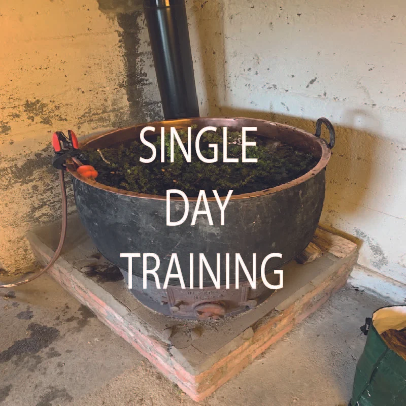 Single day traditional brewing with kveik