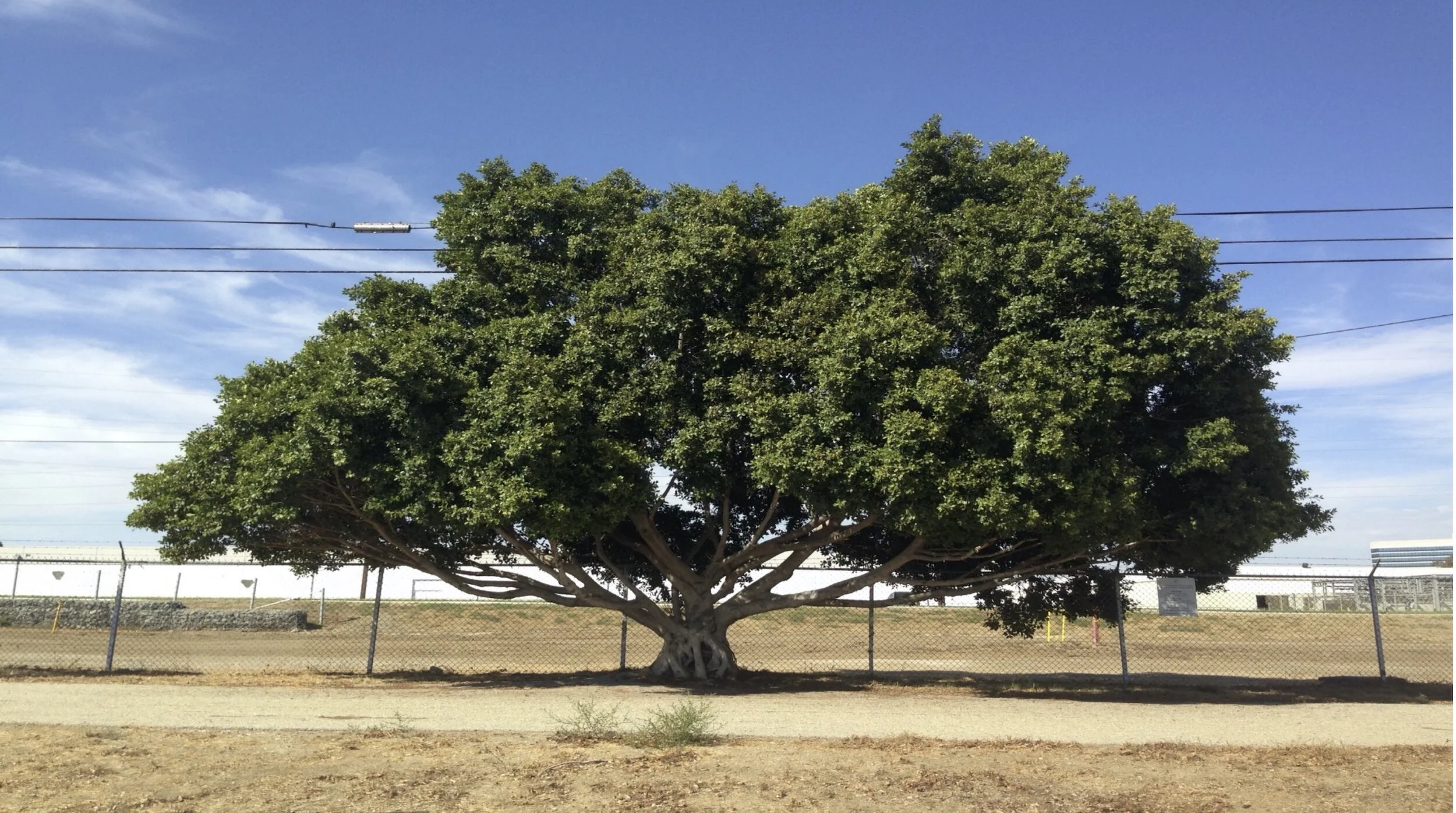 We Granted A Community's Wish