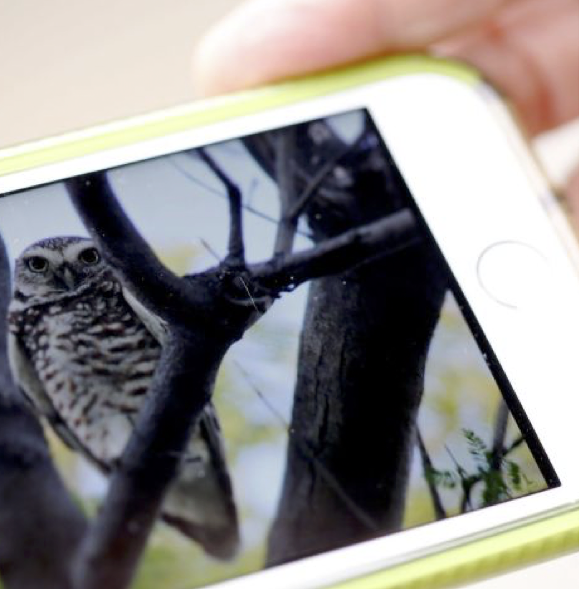 We Got the Green Light to Reimagine the Esperanza Elementary Campus