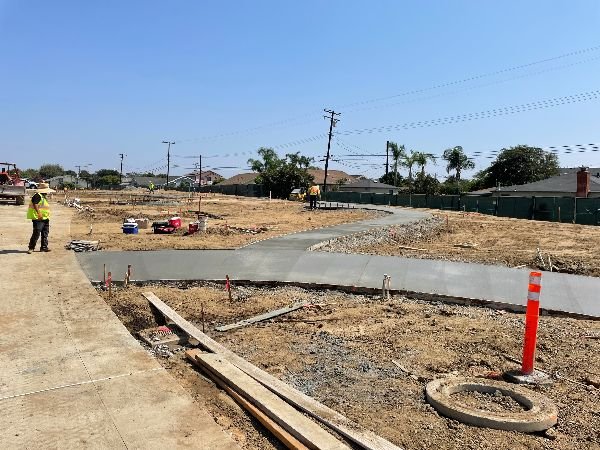 Wishing Tree Begins to Take Shape
