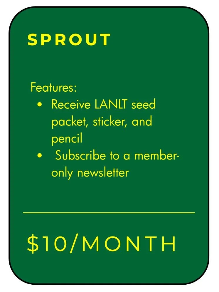 sprout.jpg
