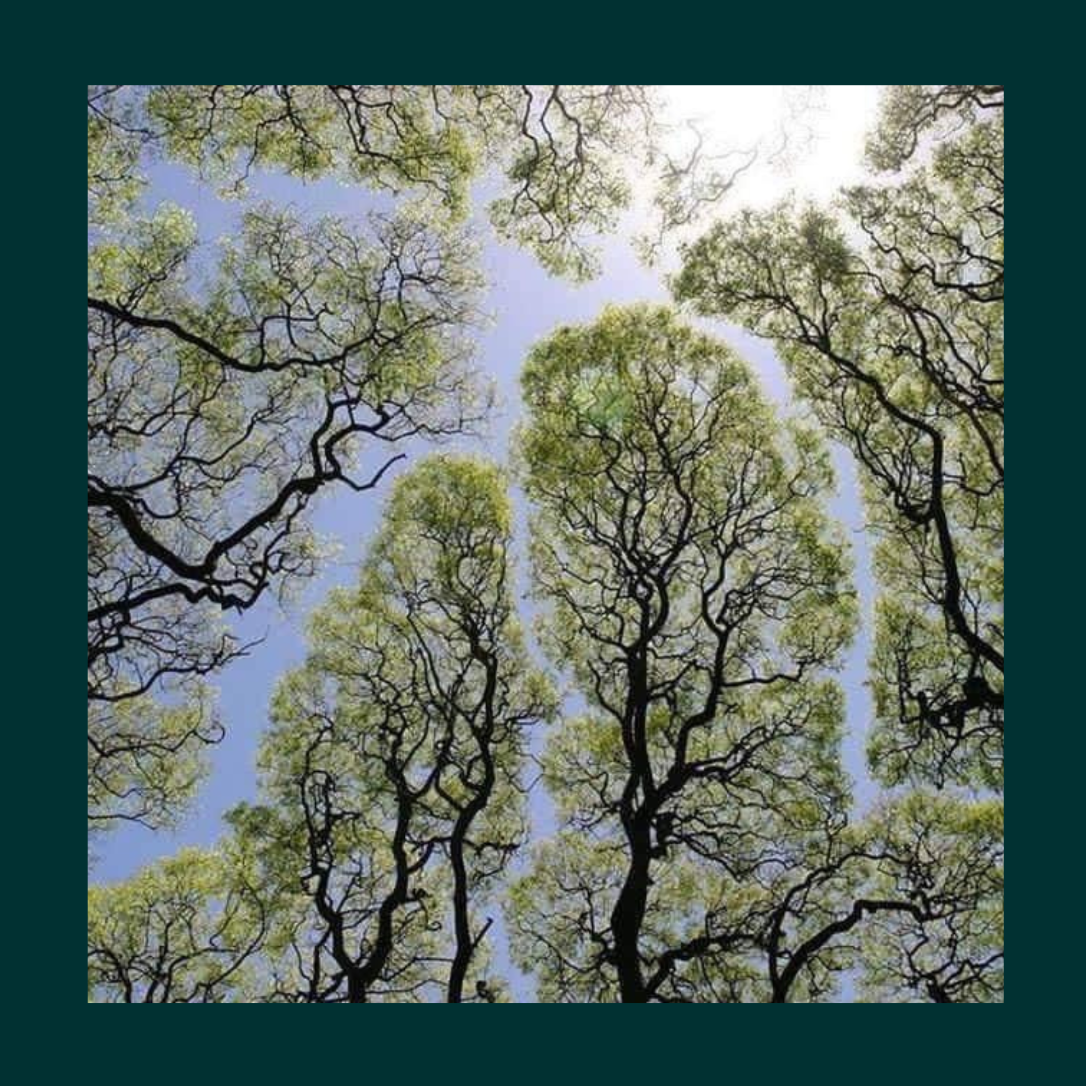 Holding space for our communities connected by systemic roots of violence