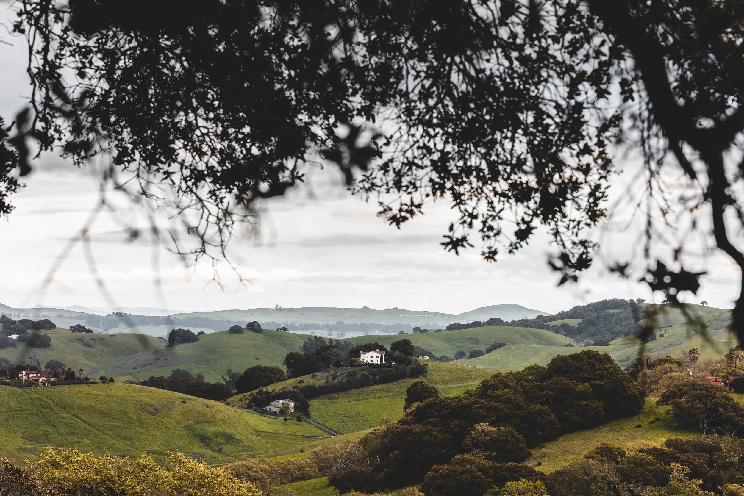 2019-04-04 Petaluma (1 of 1).jpg