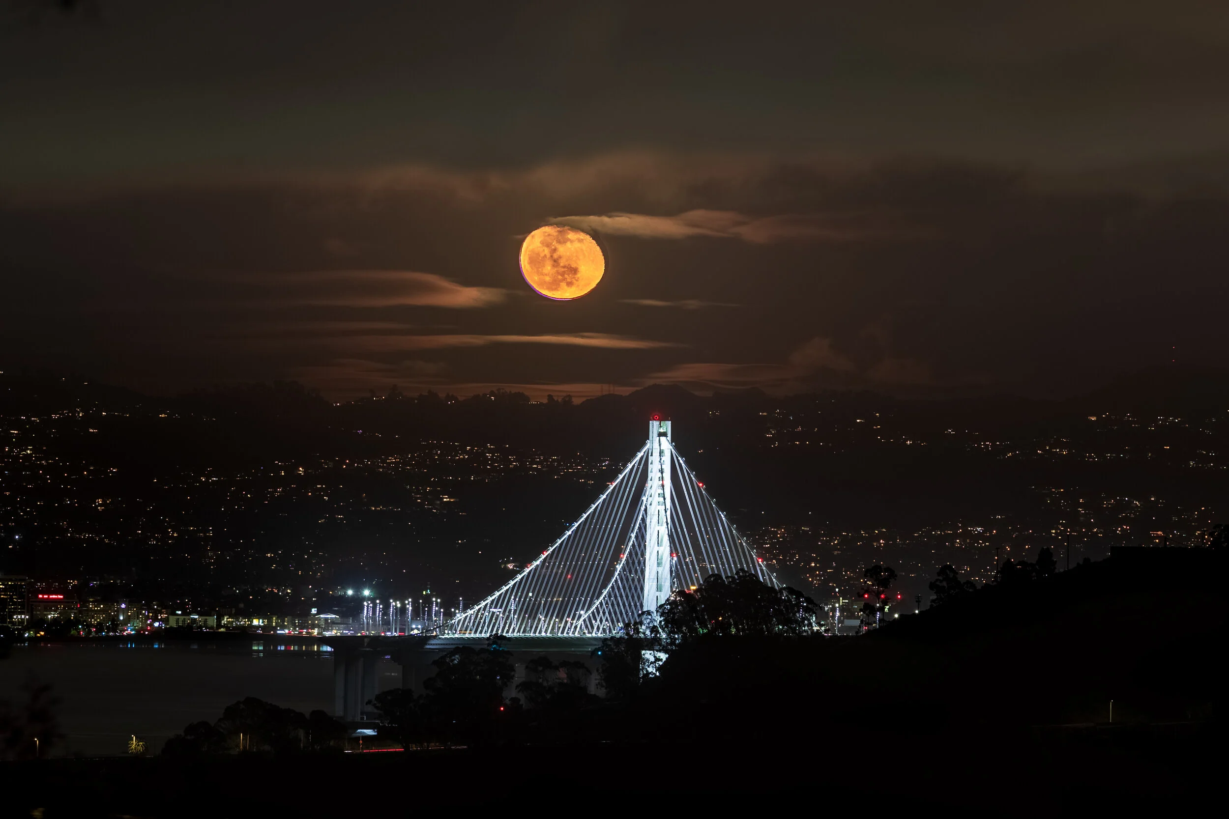 Moon Over the Bay-1.jpg