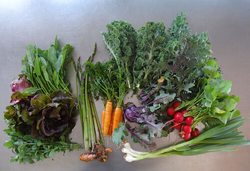 foster-brady-farm-csa-large-share.jpg