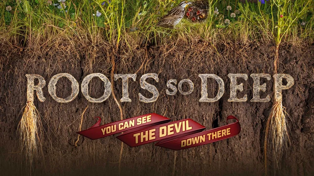Deep Roots Dvd Roots So Deep Video Series Now Online — Roots of Resilience