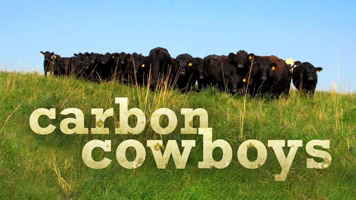 Can beef be a healthy food?