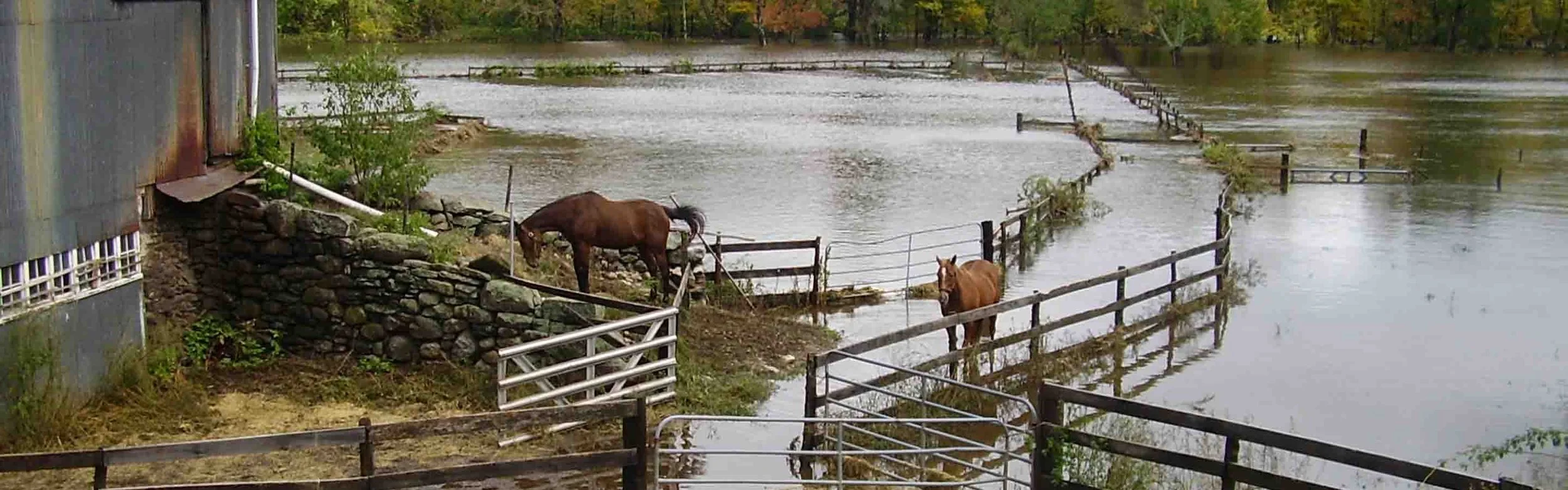 Farm Disaster/Emergency Kit