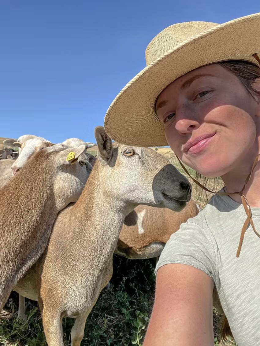 A woman wearing a wide-brimmed straw hat taking a selfie with several goats on a sunny day.