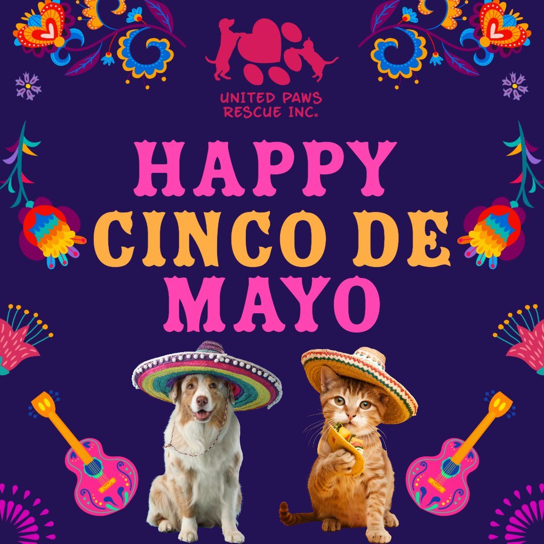 🎉🌮 &iexcl;Feliz Cinco de Mayo from United Paws Animal Rescue! 🐾🇲🇽

Today, we&rsquo;re celebrating the vibrant spirit of community, culture, and compassion&mdash;and what better way than with some *pawsitively* adorable faces? 🐶🐱💃

Meet our fe