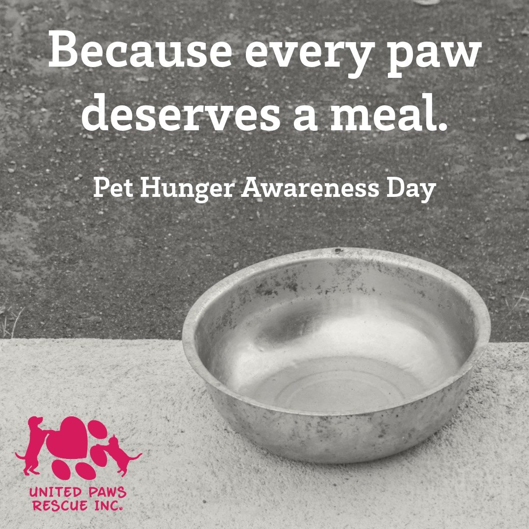 🐾💌 A Message from the Pets of United Paws Rescue 💌🐾

Hi friends,
We&rsquo;re the lucky ones &mdash; the dogs and cats who found full bowls, warm beds, and loving hands through United Paws Rescue. 🐶🐱✨

But today, on Pet Hunger Awareness Day, our