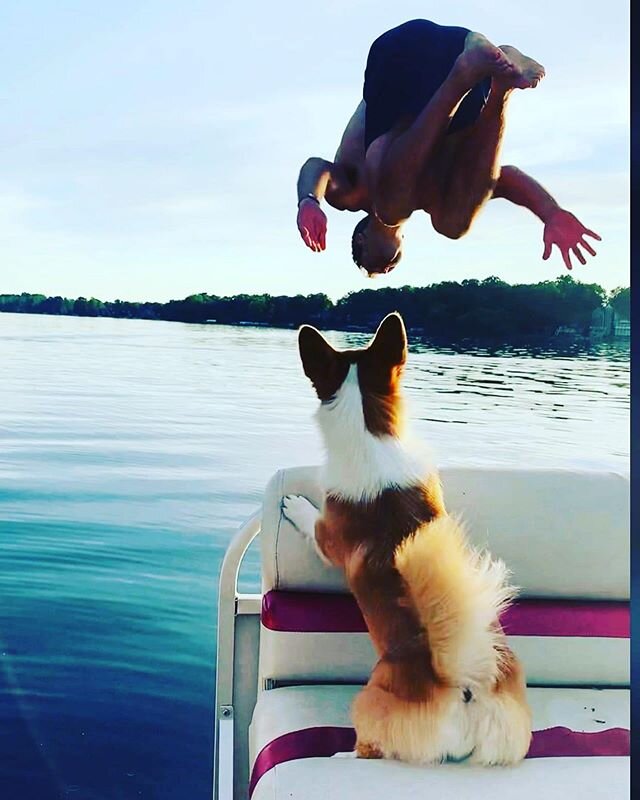 Always try your best! You never know who&rsquo;s watching! 
Love my Sweet Sally girl. ❤️ #summer #getoutside #bartonlake #lakelife #corgilife #bakerstrengthandconditioning