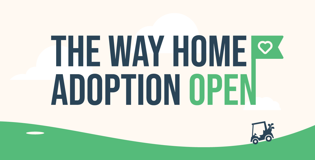 The Way Home Adoption Open 2022